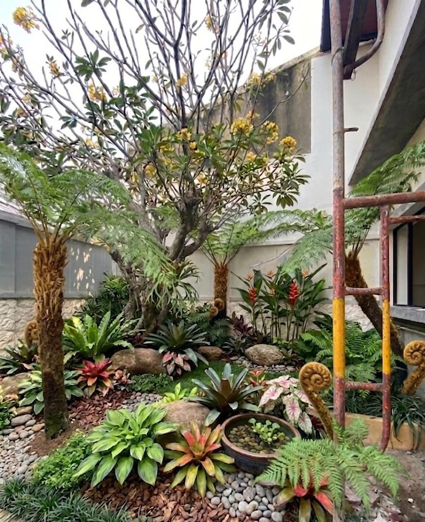 taman 2